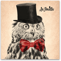 les-chouettes_cover